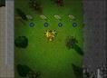 40 Point "Ilha"